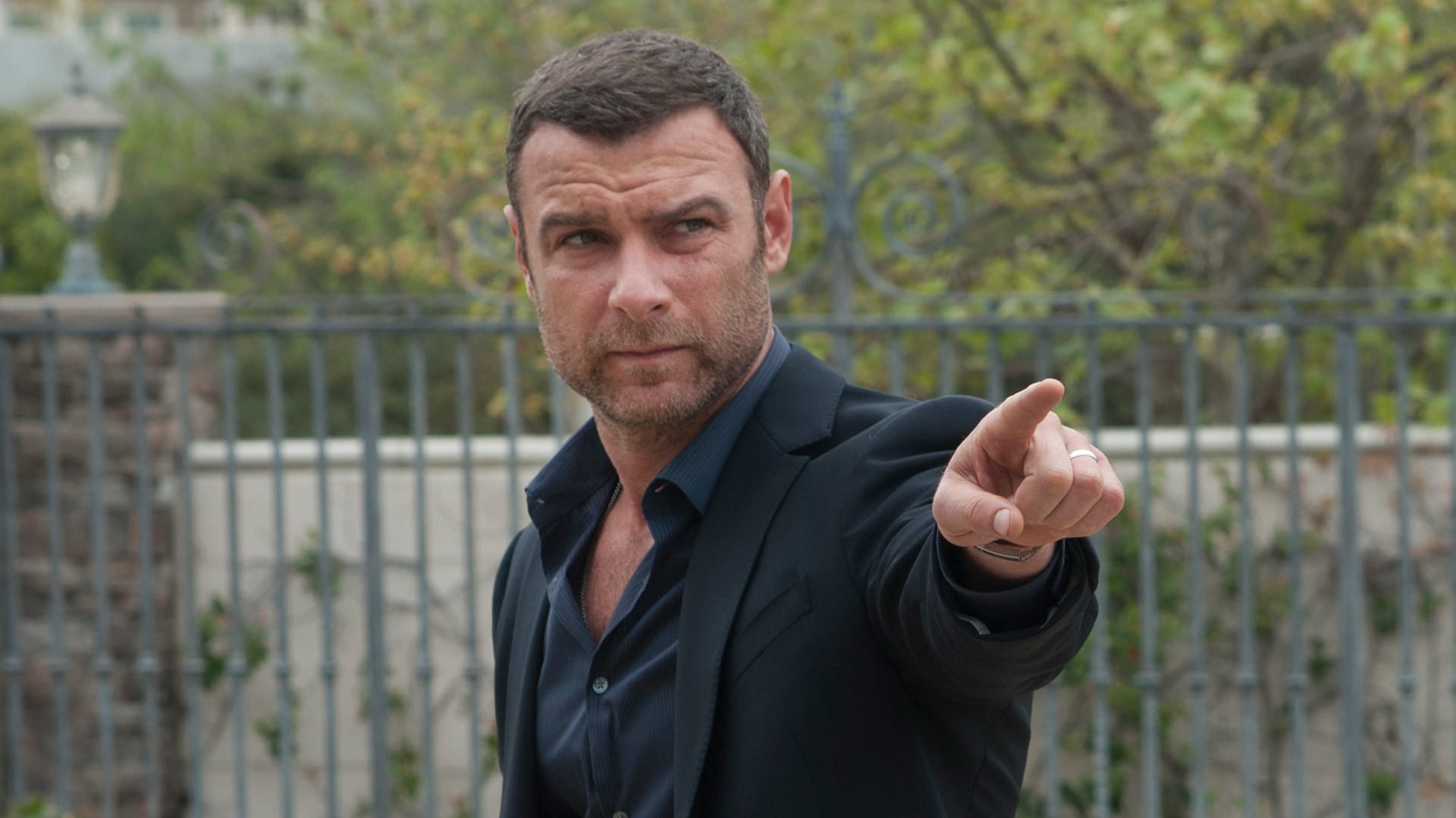 Image Ray Donovan (2013) 1