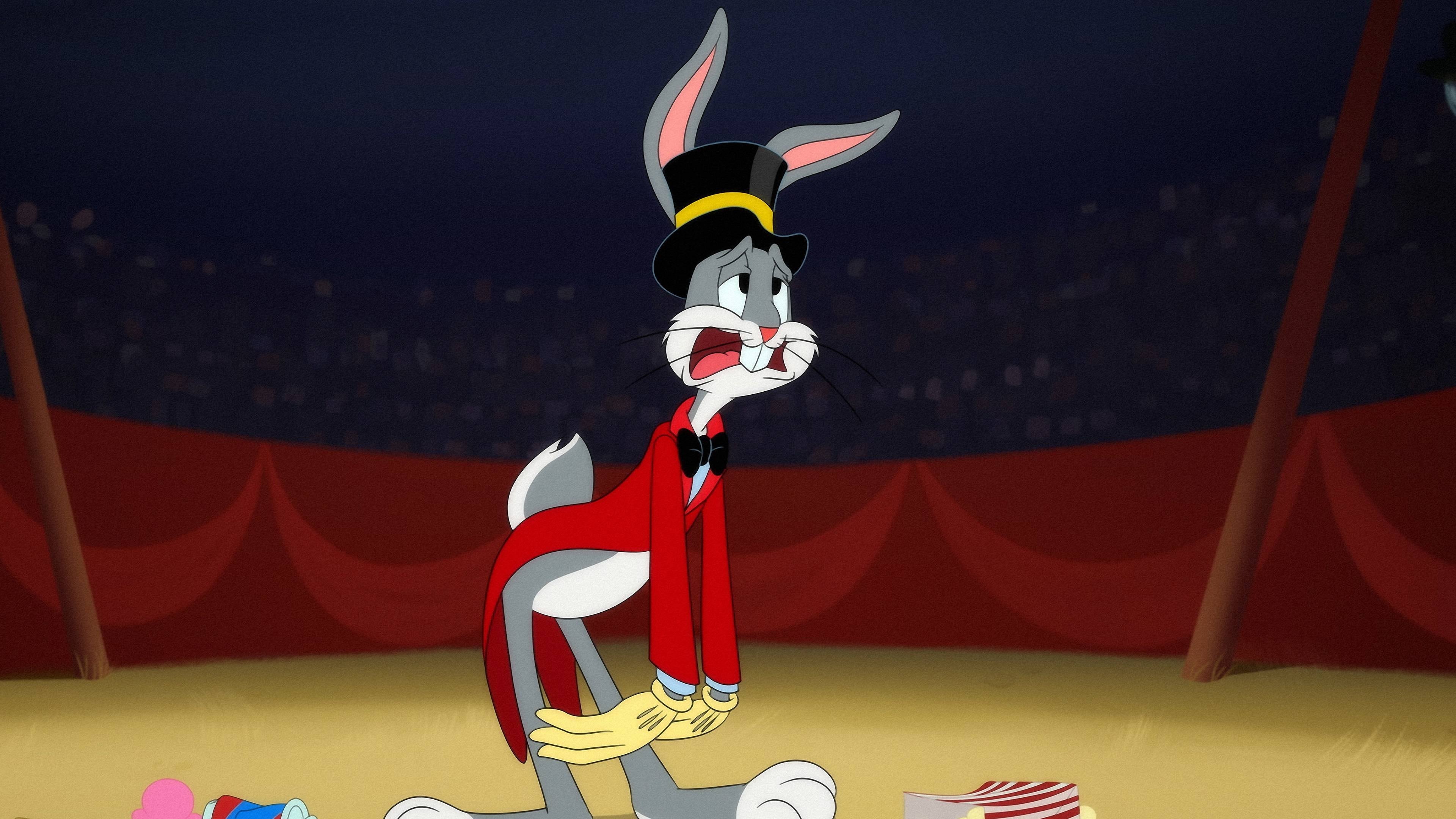 Image Looney Tunes Cartoons 1