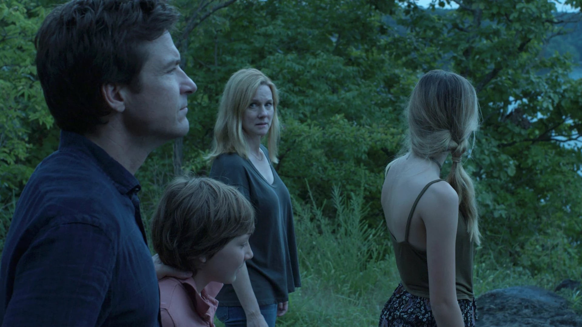 Image Ozark (2017) 1