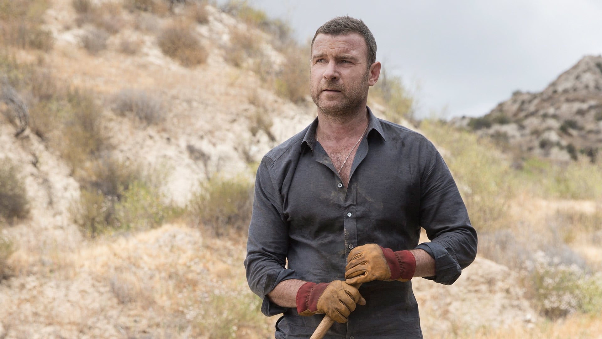 Image Ray Donovan (2013) 1