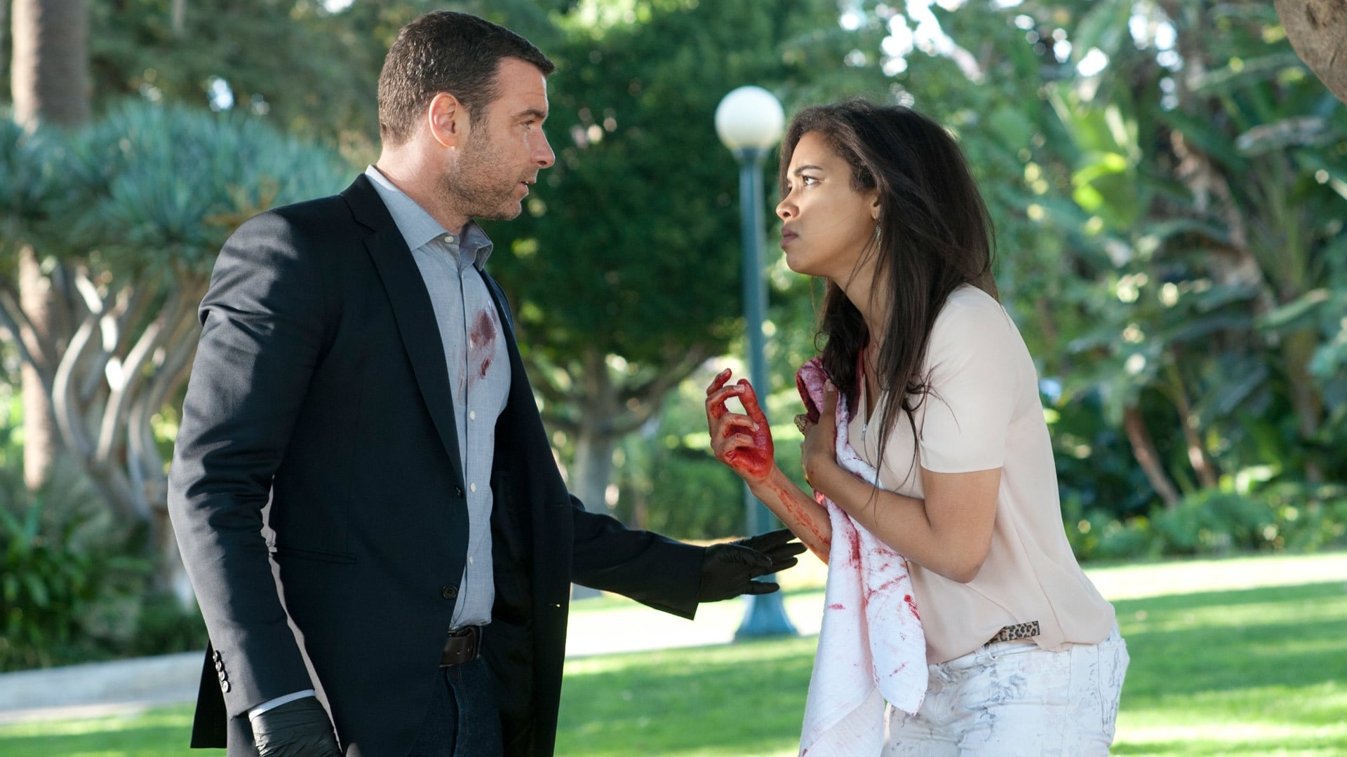 Image Ray Donovan (2013) 1