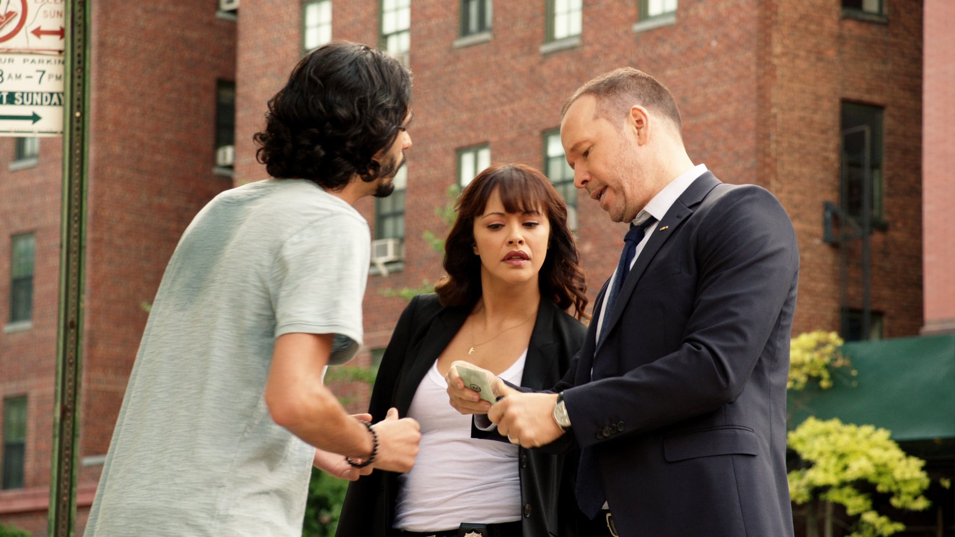 Image Blue Bloods (Familia de policías) (2010)