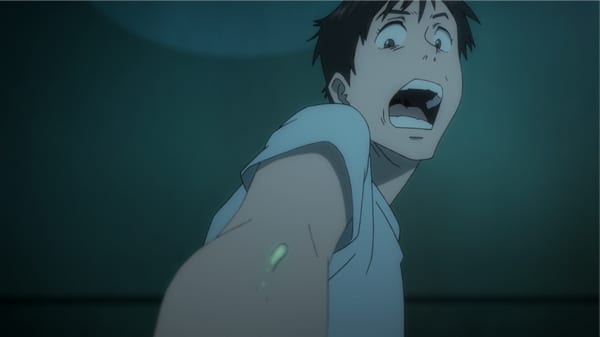 Image Parasyte