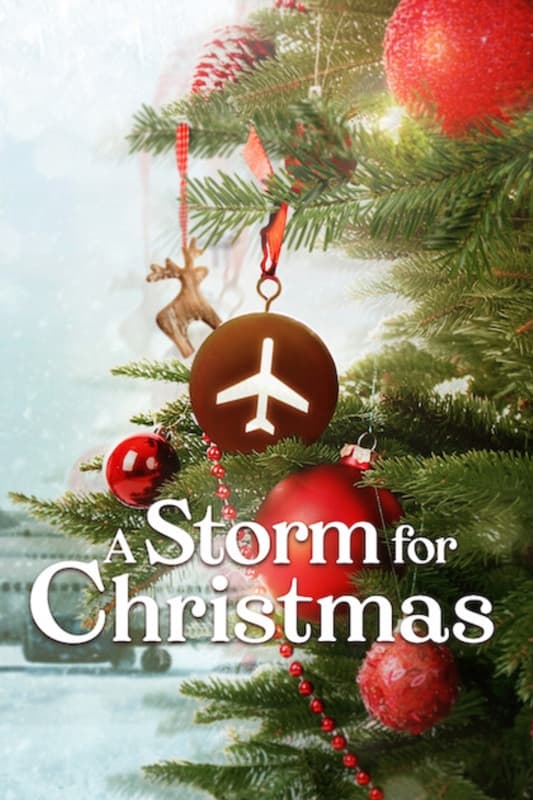 Image A Storm for Christmas 1