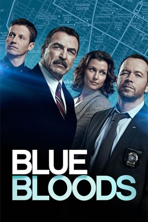 Image Blue Bloods (Familia de policías) (2010)