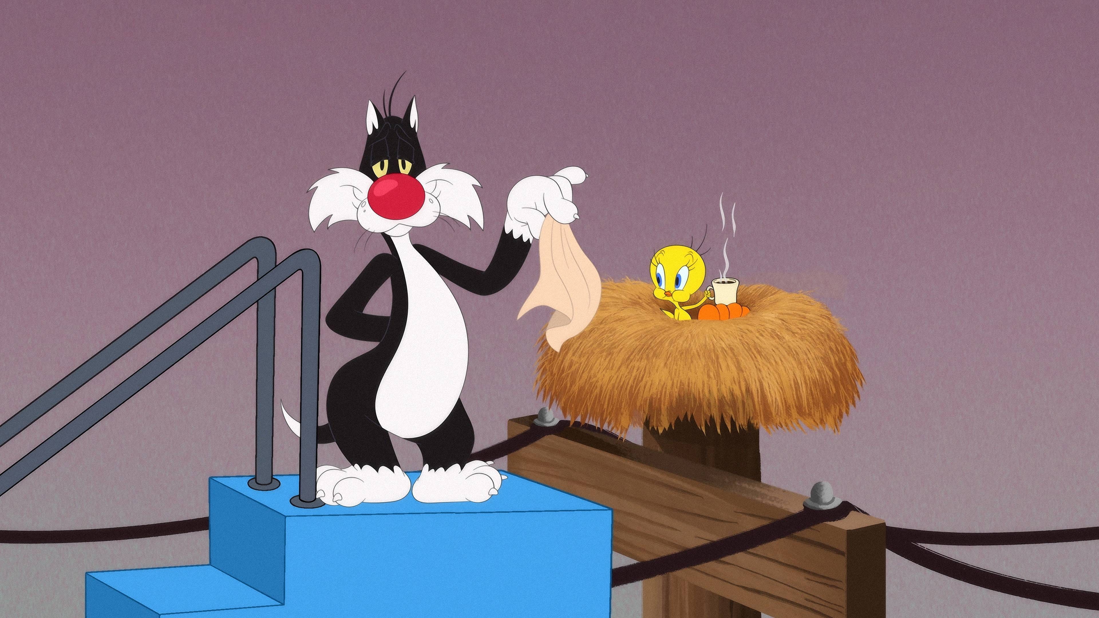 Image Looney Tunes Cartoons 1