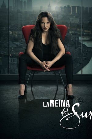 Image La Reina del Sur (2011)