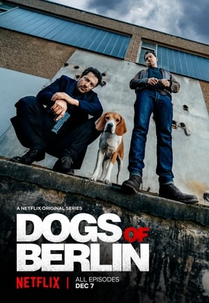 Image Perros de Berlín (2018)