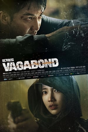 Image Vagabond